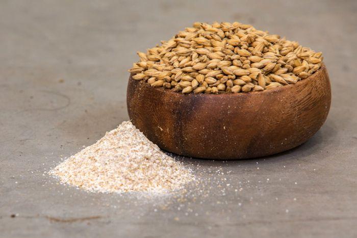 A two-row Bentley base malt. (RedShedMalting.ca)
