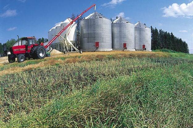 (Photo courtesy Canola Council of Canada)
