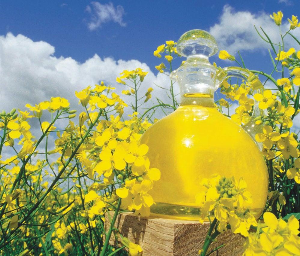 The ‘good’ fat that makes up a large part of canola and high-oleic canola oil can help reduce belly fat and decrease blood pressure. 