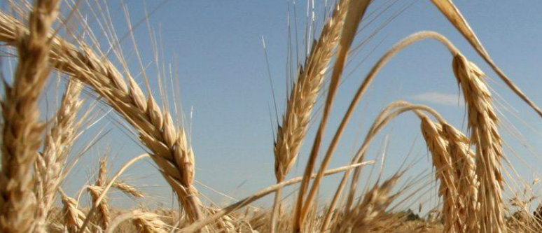 Description of image