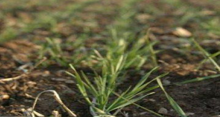 Description of image