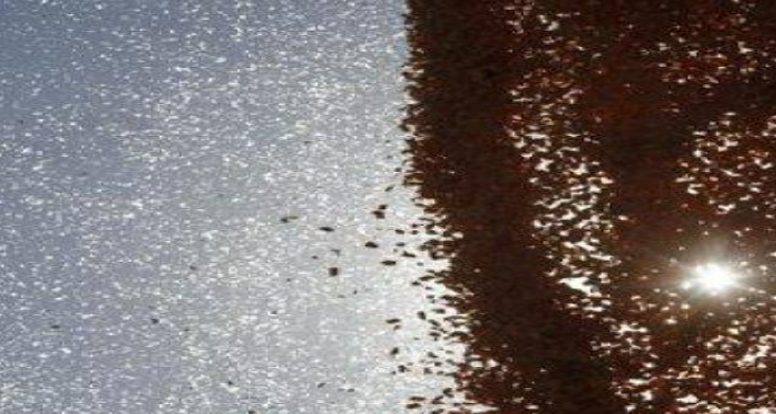 Description of image