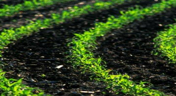 Description of image