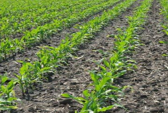 Description of image