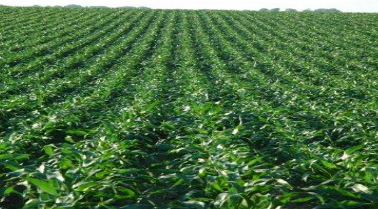 Description of image