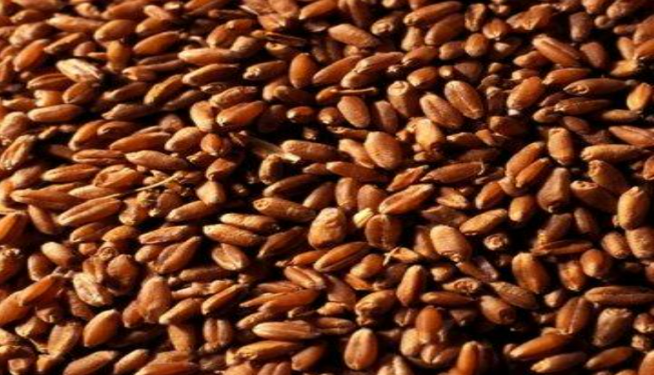 Description of image