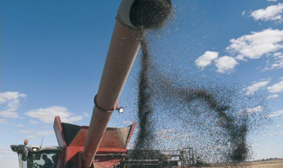 Description of image