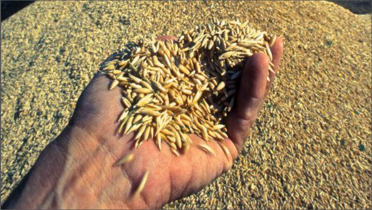 Description of image