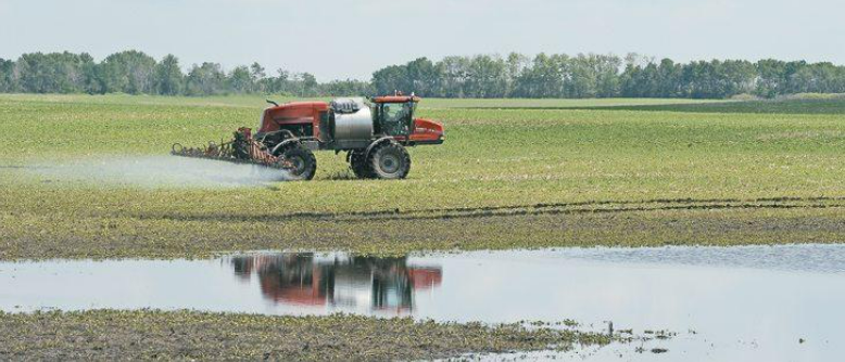 Description of image