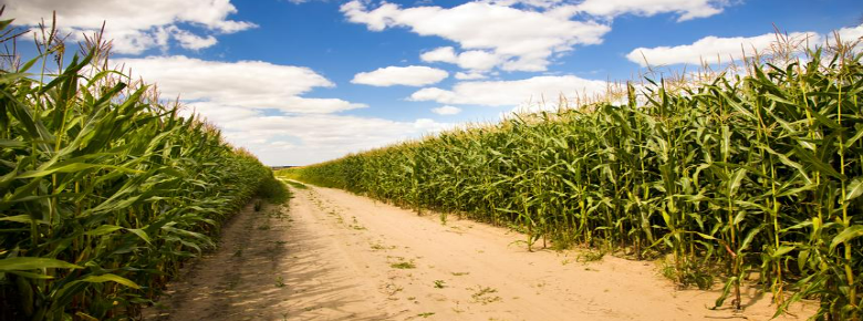 Description of image