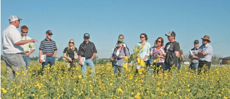 Description of image