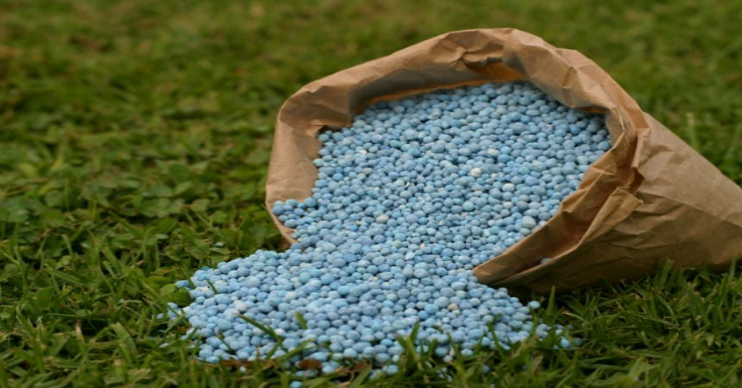 Description of image