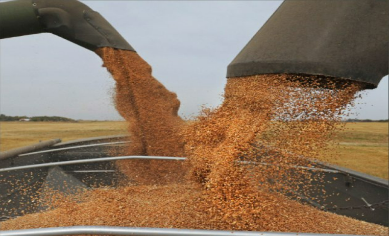 Description of image