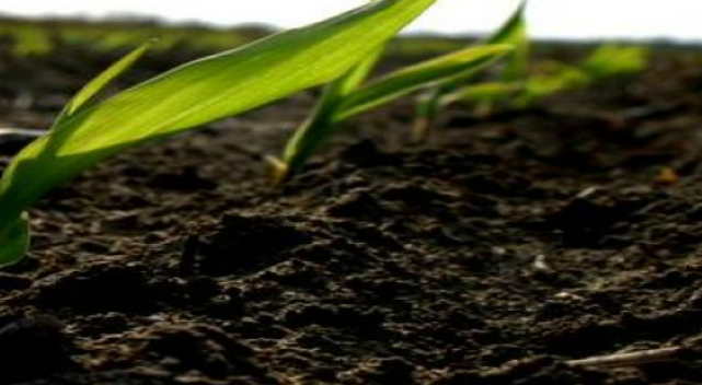 Description of image