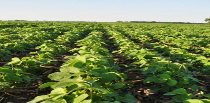 Description of image