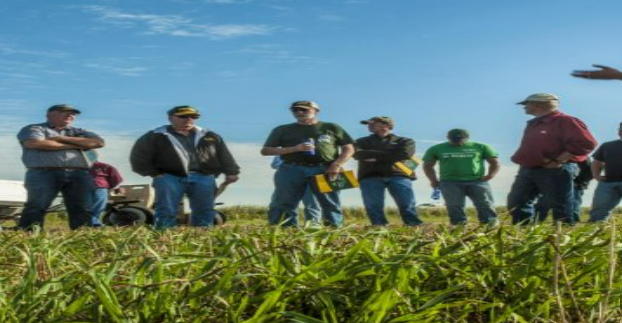 Description of image