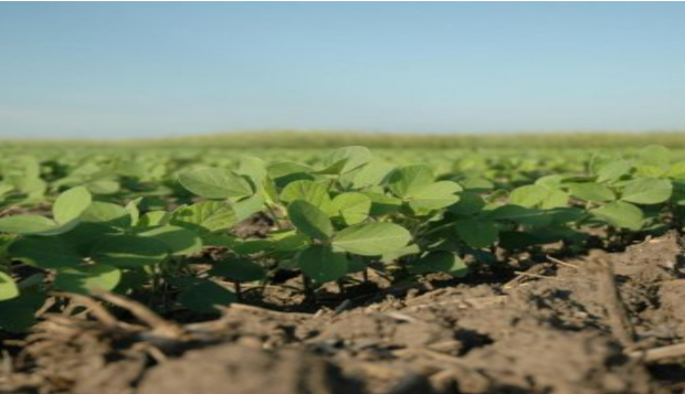 Description of image