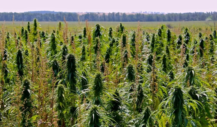 Description of image