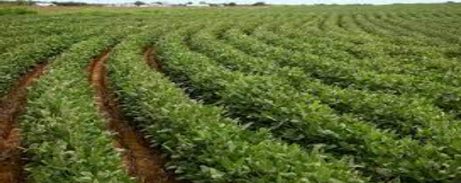 Description of image